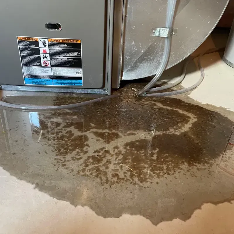 Appliance Leak Cleanup in Crestview Hills, KY